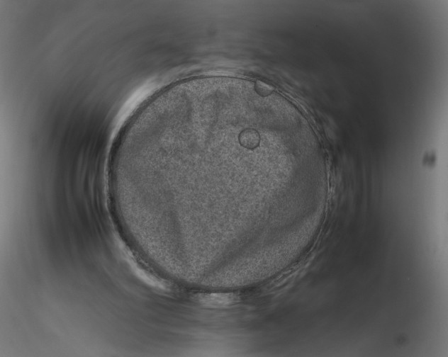 X0000116100102200912211620