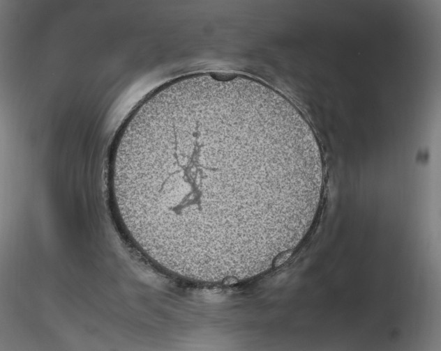 X0000116100103200912211620