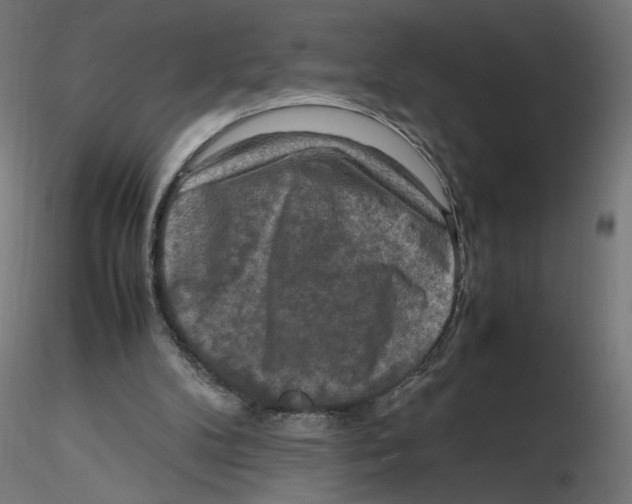 X0000116100104200912211620