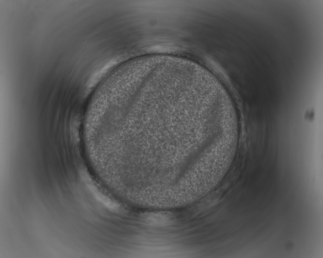 X0000116100106200912211620