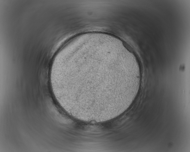 X0000116100107200912211620