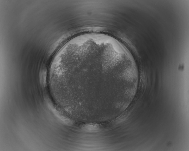 X0000116100110200912211619