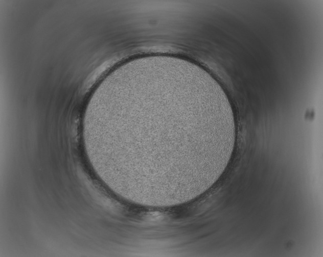 X0000116100111200912211619