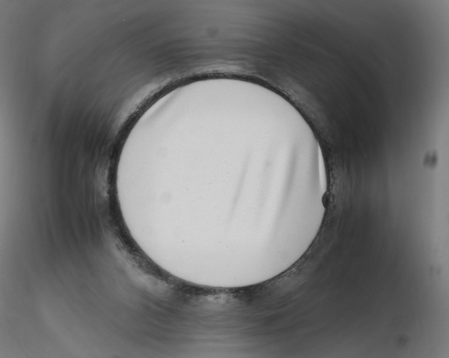 X0000116100112200912211619