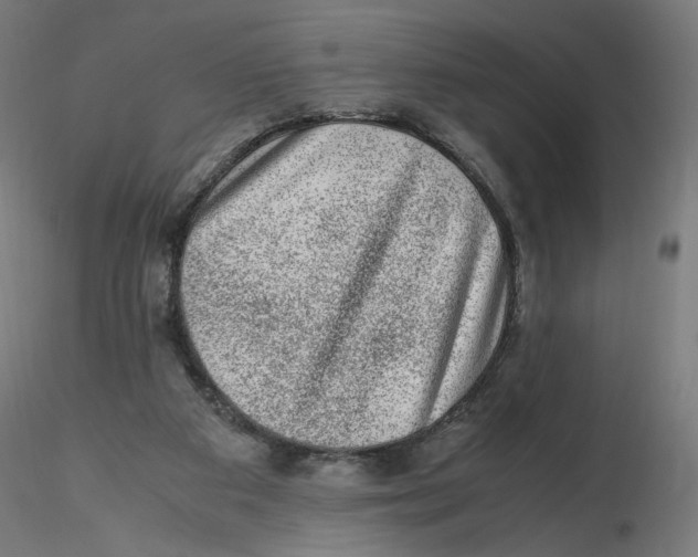 X0000116100113200912211619