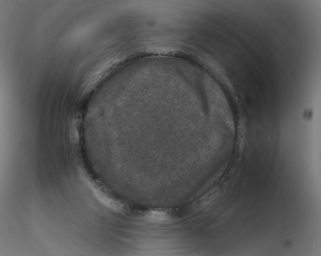 X0000116100114200912211619