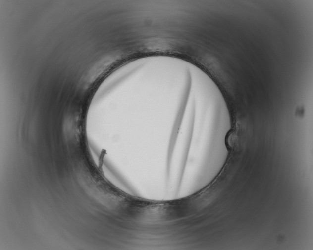 X0000116100116200912211619