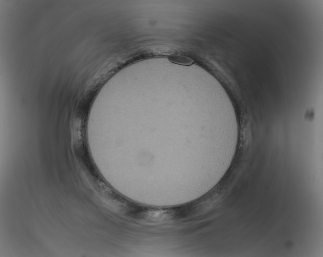 X0000116100117200912211619