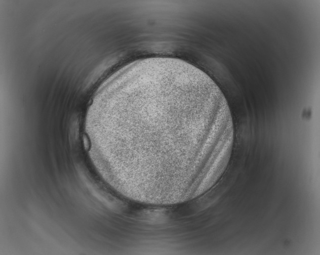 X0000116100120200912211619