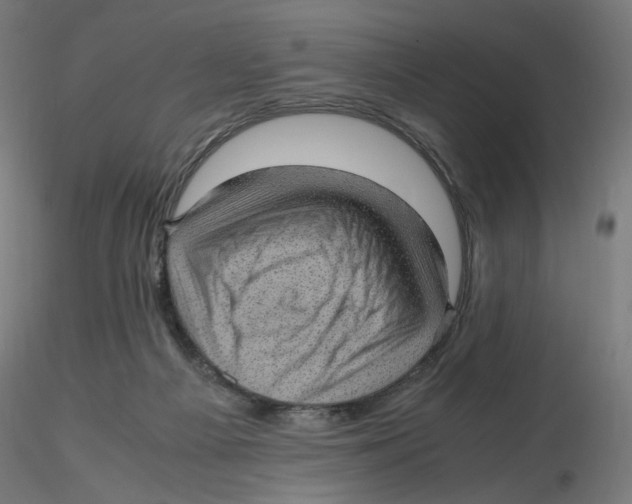 X0000116100121200912211619