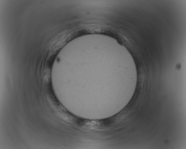 X0000116100125200912211619