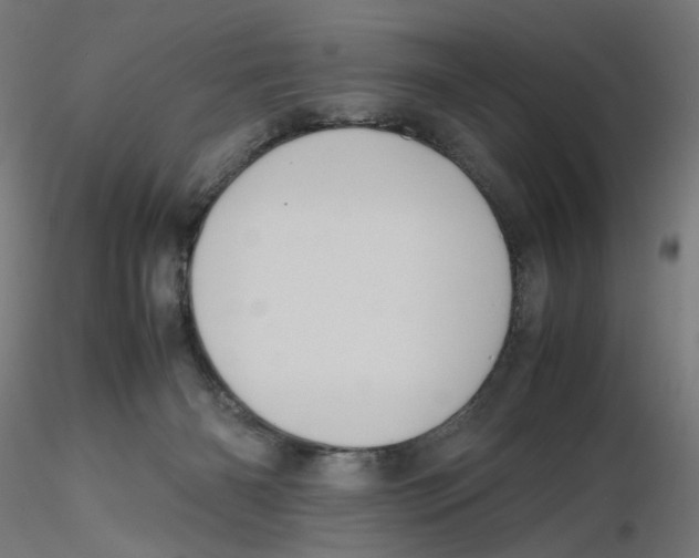 X0000116100126200912211619