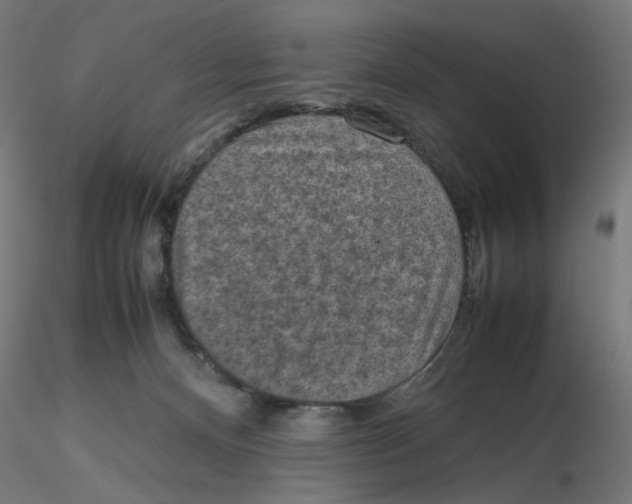 X0000116100128200912211619