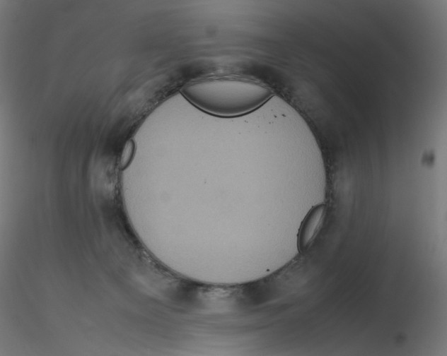 X0000116100129200912211619