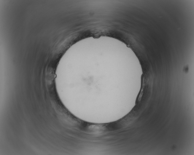 X0000116100133200912211619