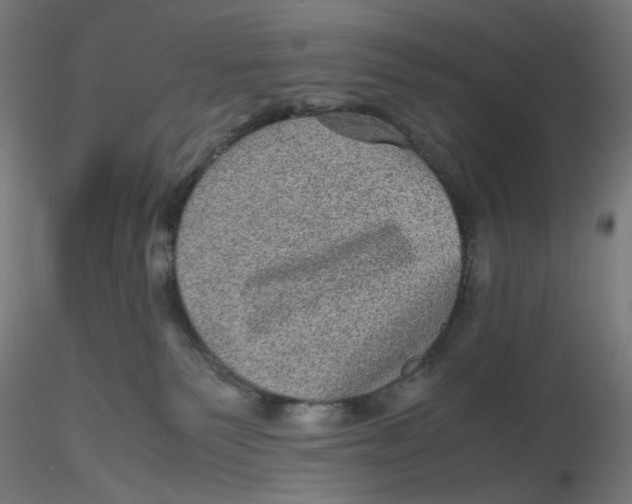 X0000116100135200912211619