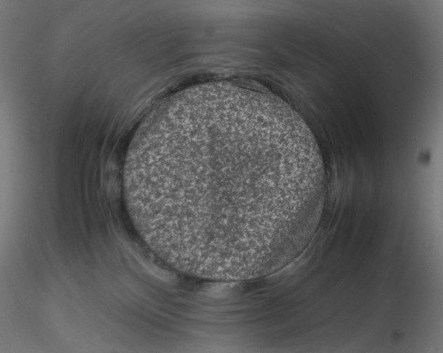 X0000116100136200912211619