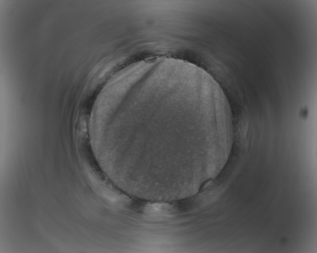 X0000116100137200912211619