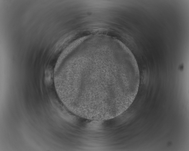 X0000116100138200912211619