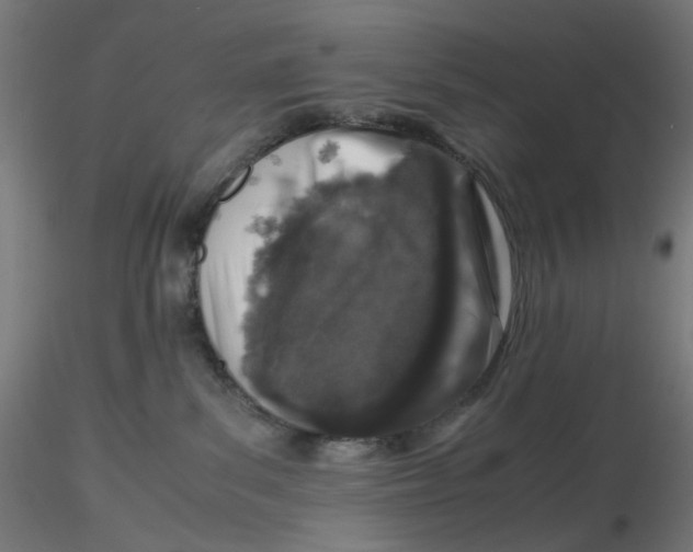 X0000116100139200912211619