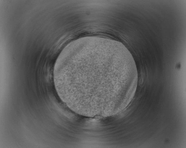 X0000116100140200912211619