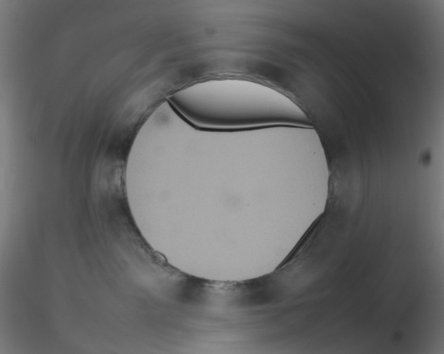 X0000116100141200912211619