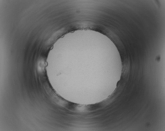 X0000116100142200912211619