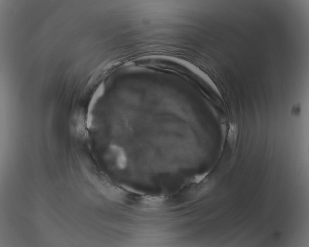 X0000116100143200912211619