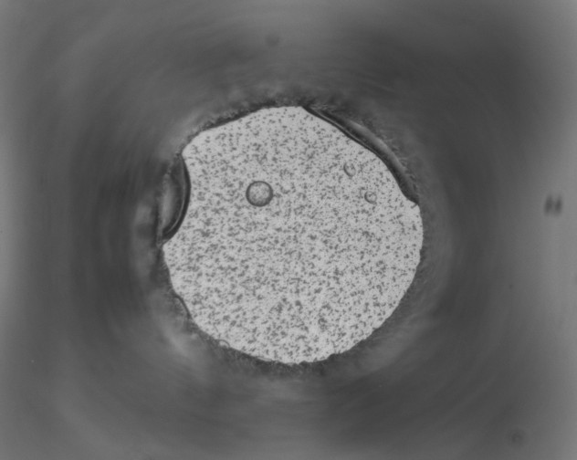 X0000116100144200912211619