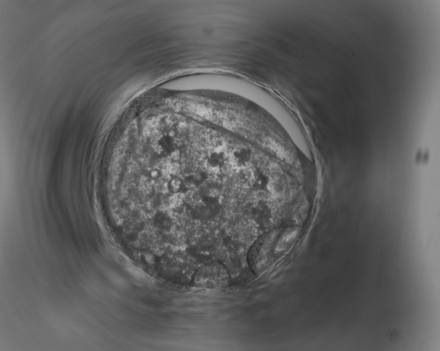 X0000116100145200912211618