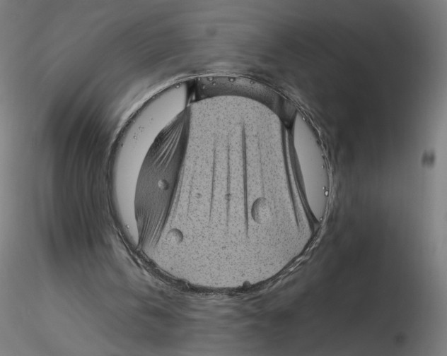 X0000116100146200912211618