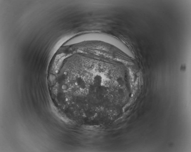 X0000116100147200912211618