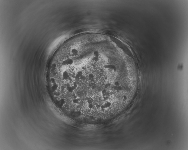 X0000116100149200912211618