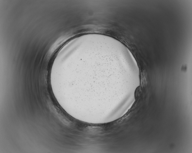 X0000116100150200912211618