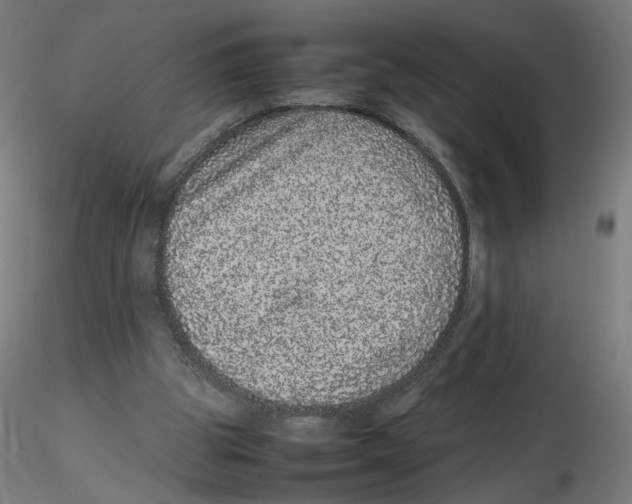 X0000116100153200912211618