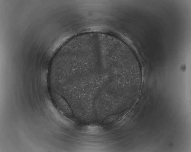 X0000116100154200912211618