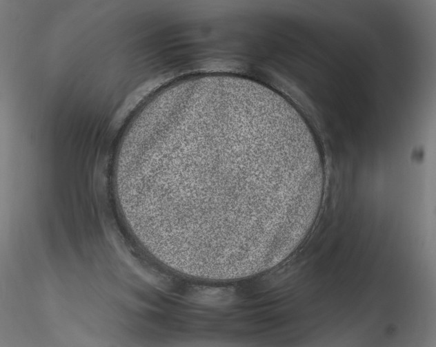 X0000116100155200912211618