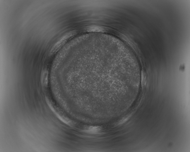 X0000116100157200912211619