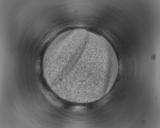 X0000116100158200912211619