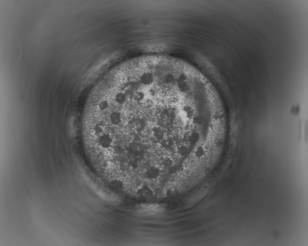 X0000116100161200912211619