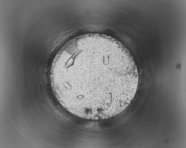 X0000116100162200912211619