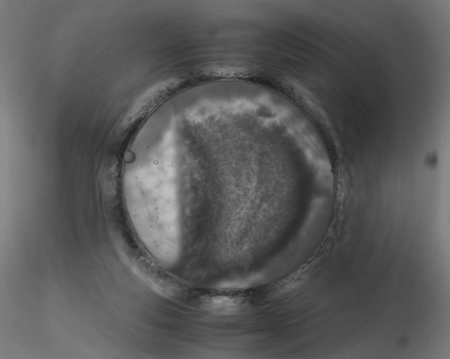 X0000116100163200912211619