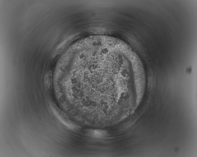 X0000116100165200912211619