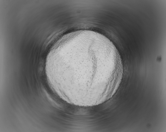 X0000116100166200912211619