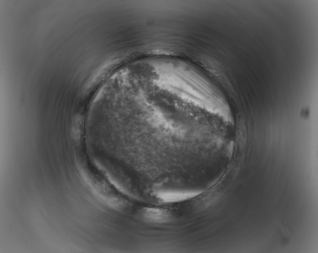 X0000116100167200912211619