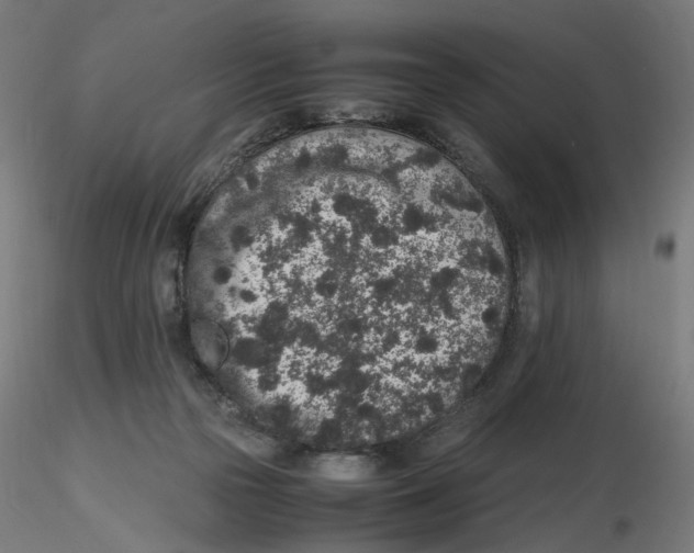 X0000116100169200912211619