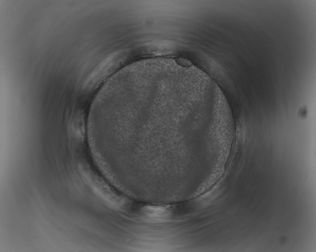 X0000116100170200912211619