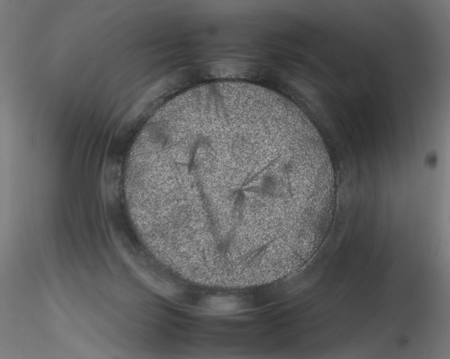 X0000116100171200912211619