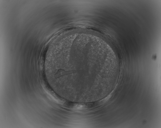 X0000116100174200912211619