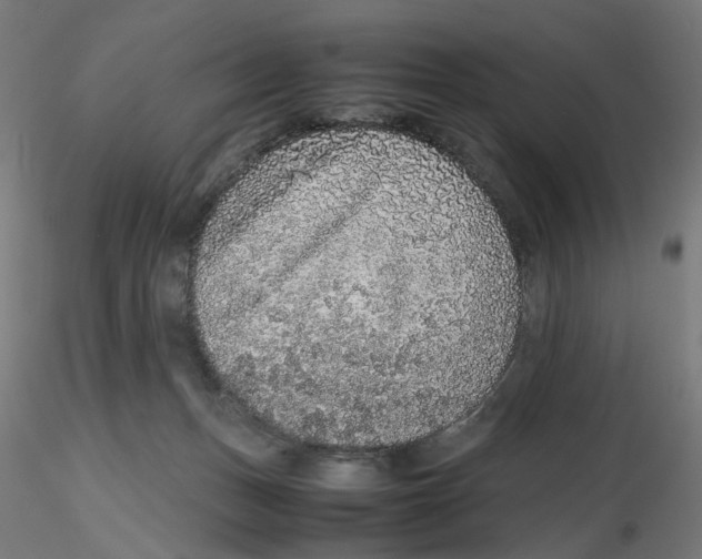 X0000116100175200912211619